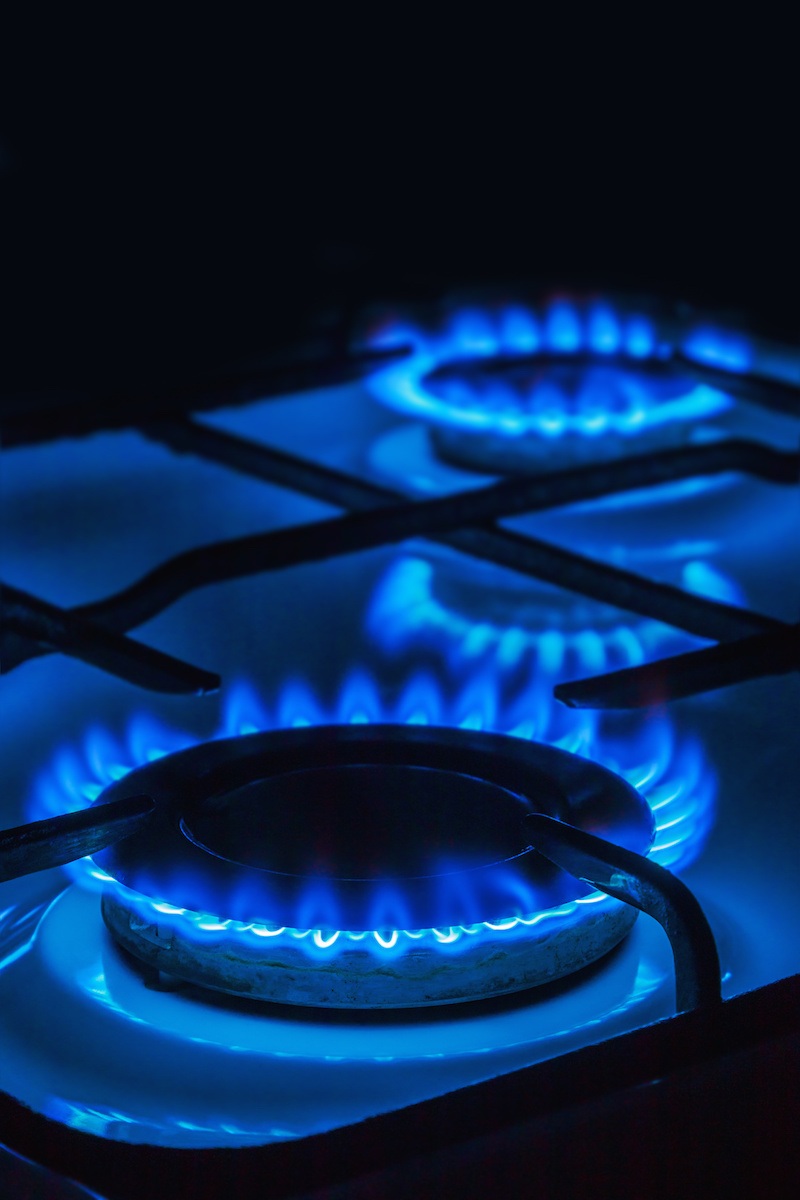 К каждому участку подведен газ